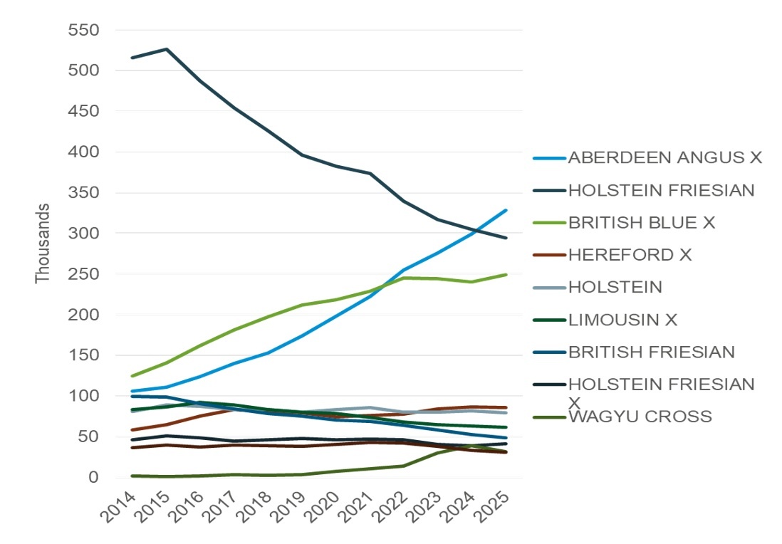 Chart showing annual registrations to dairy dams by sire breed (GB).